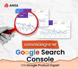 แจกเทคนิคดูกราฟ Google Search Console พร้อมเทคนิคทำ SEO