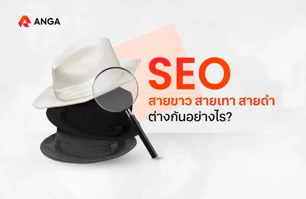 SEO สายขาว สายเทา สายดำ คืออะไร ต่างกันอย่างไรมาดูกัน
