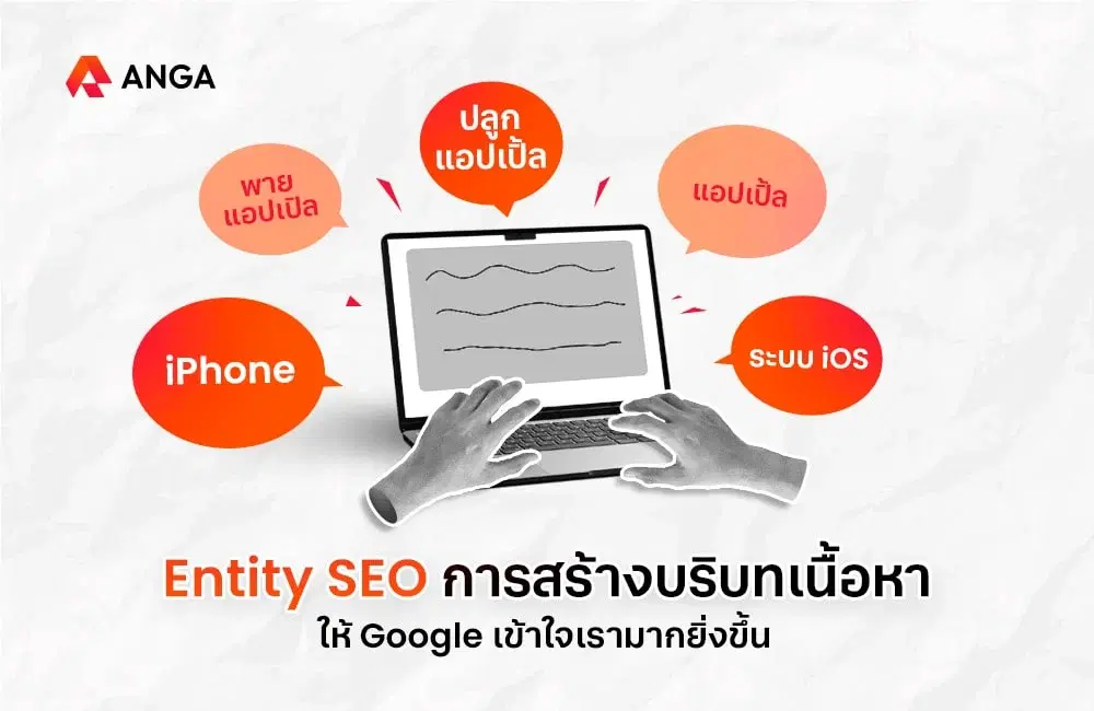 Entity SEO คืออะไร กลยุทธ์การสร้างเนื้อหาให้ตอบโจทย์ Intent